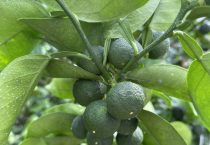 喜多機械産業株式会社