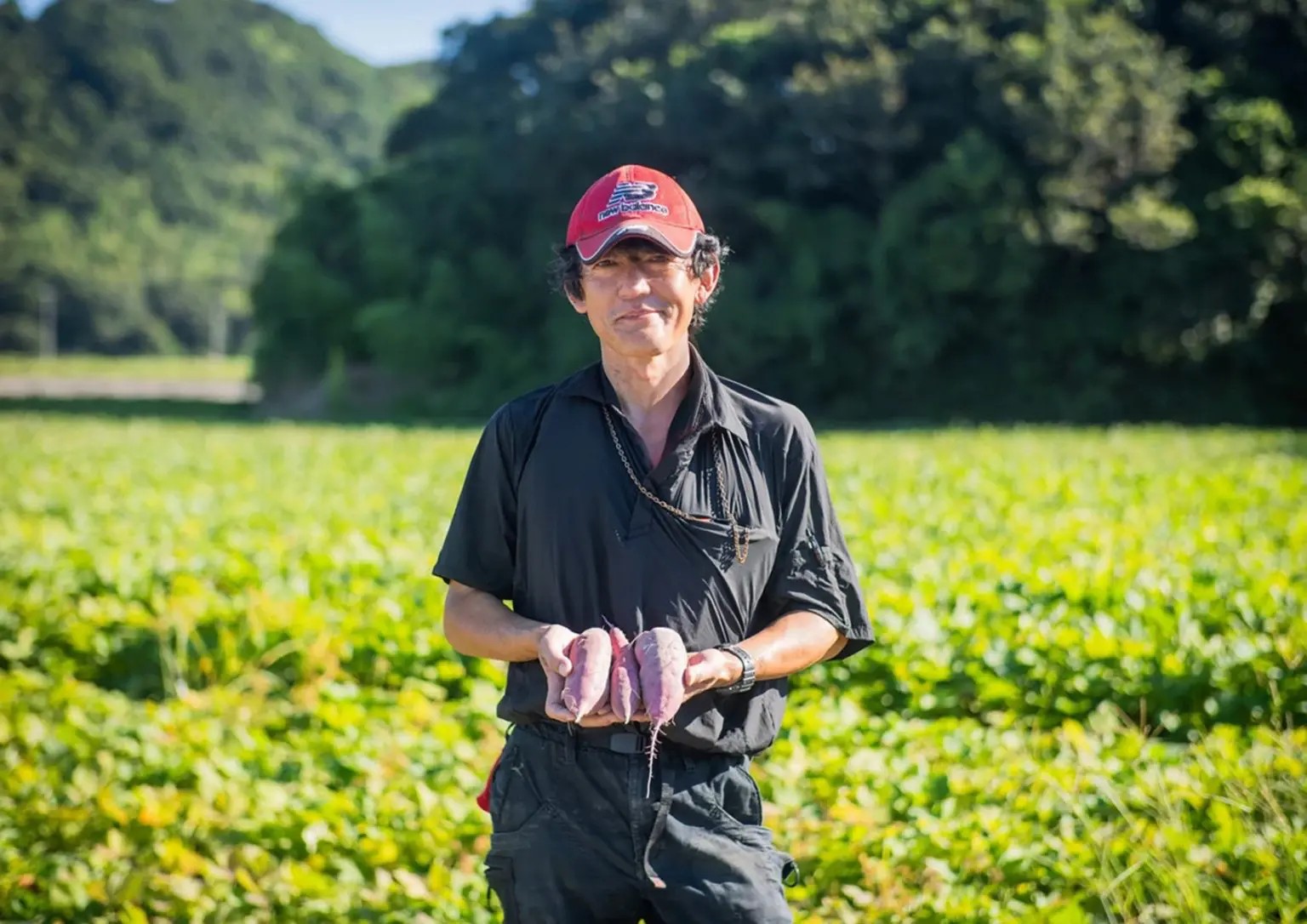株式会社フィールドエミネンス