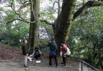 徳島大学生物資源産業学部